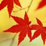 遇