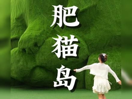 原来国内真的有人会为流浪猫盖一座小岛！ #肥猫岛 #淮安