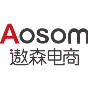 遨森电子商务股份有限公司
