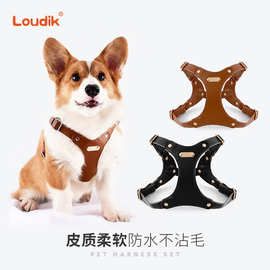 Loudik批发柔软皮质狗狗宠物胸背带牵引绳遛狗绳柯基中小型犬跨境