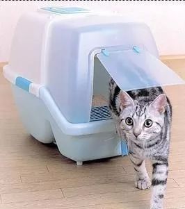 养猫，一次放多少猫砂？多久换一次猫砂呢？