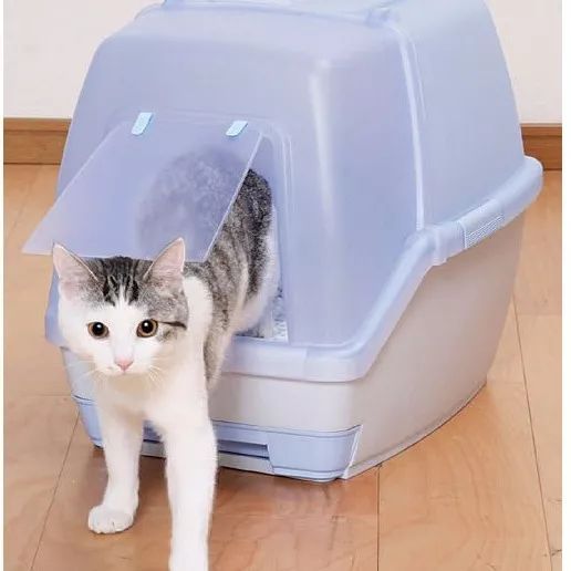 养猫，一次放多少猫砂？多久换一次猫砂呢？
