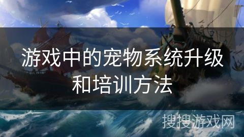 游戏中的宠物系统升级和培训方法