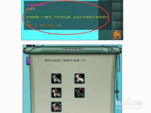 《剑网3》奇遇门内宠物遭盗窃任务攻略