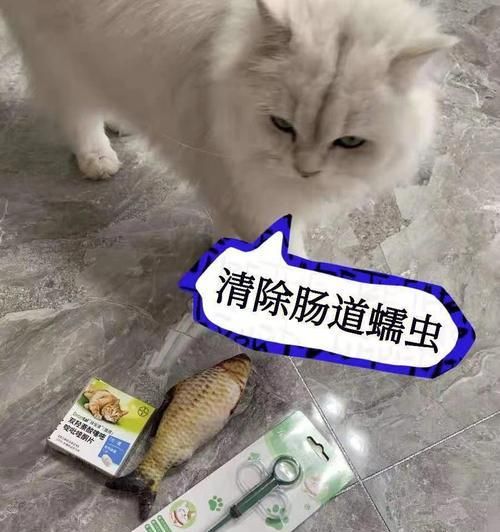 狗狗寄生虫防治全攻略（从饮食入手）