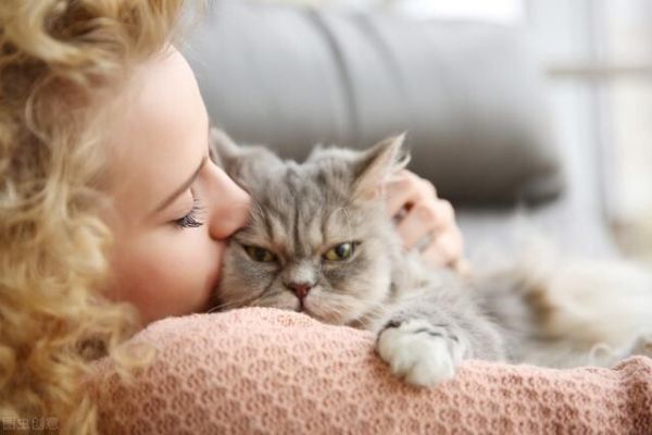 人为什么会喜欢养猫呢？分析马斯洛需求层次理论后我懂了！