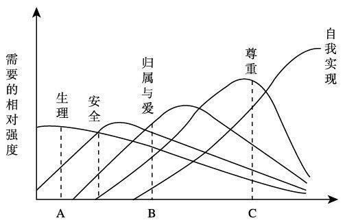 人为什么会喜欢养猫呢？分析马斯洛需求层次理论后我懂了！