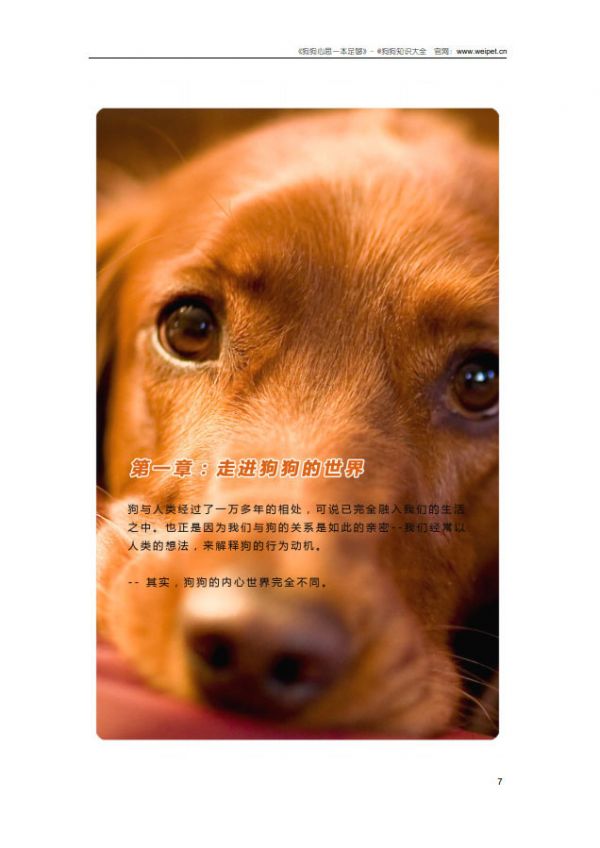 狗狗心思一本足够-内容截图3