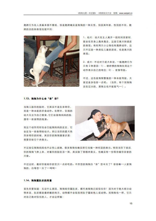 狗狗心思一本足够-内容截图4