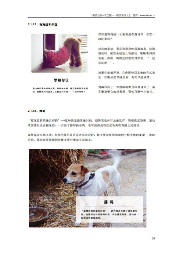 狗狗心思一本足够-内容截图9