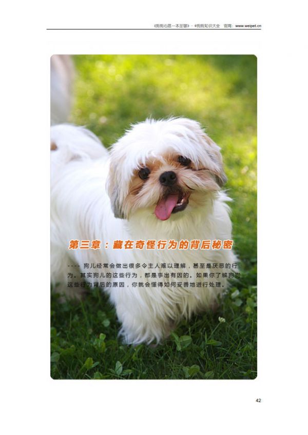 狗狗心思一本足够-内容截图10