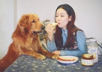 狗狗吃零食好吗，狗狗吃零食有什么注意事项？