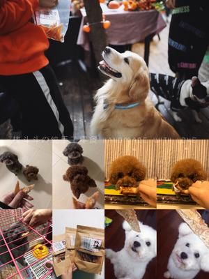 宠物零食集合的做法 步骤8