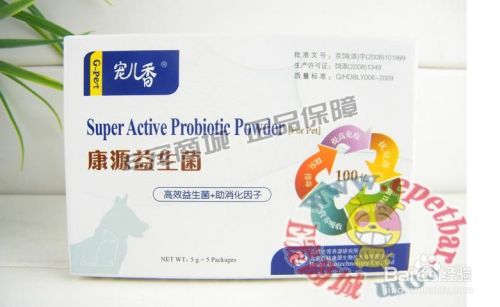 如何呵护狗狗肠胃健康