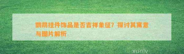 鹦鹉挂件饰品是不是吉祥象征？探讨其寓意与图片解析