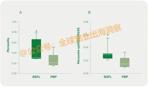 减少口臭，改善犬类口腔健康！宠物食品市场又一个新机会