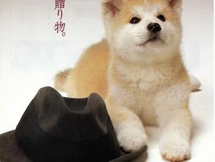 专栏