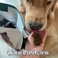 狗狗好物推荐呀