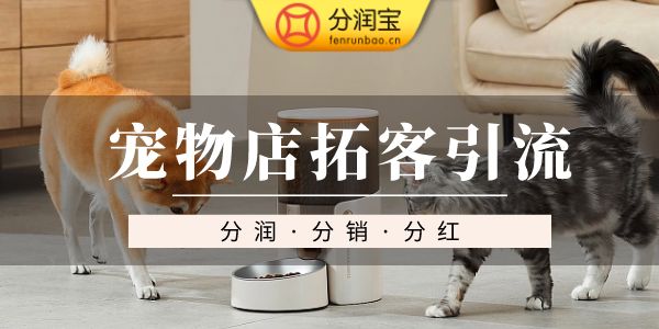 宠物店活动