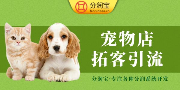 宠物店节日营销