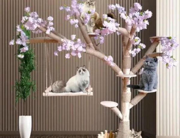 为什么猫咪需要一棵猫树？