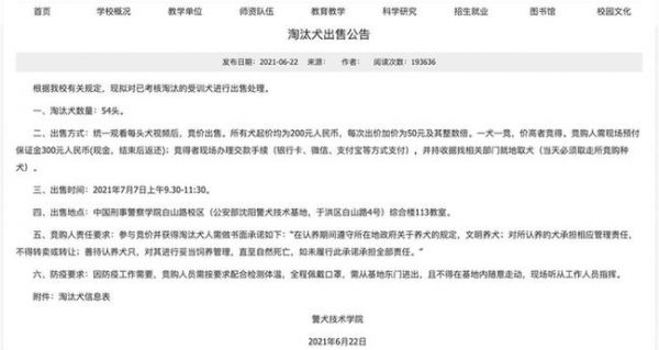 技术要够硬、性格要中庸——警犬：我太难了