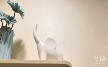宠物狗和车相撞,责任谁承担