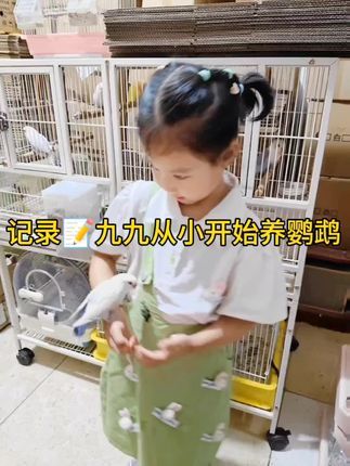威海L.G手养鹦鹉鸟舍:记录一下因为给姑娘养鹦鹉做宠物,我就掉坑了#手养玄凤鹦鹉 #鹦鹉 #萌娃和萌宠 #萌宠出道计划 #威海手养鹦鹉鸟舍