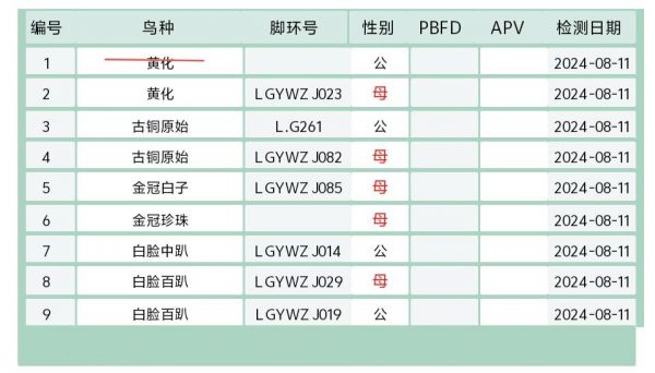 威海L.G手养鹦鹉鸟舍：手养玄凤鹦鹉找家长。十天左右掏窝，勺子手养，这次不知道怎么回事喂的好脏啊，明天洗洗澡[失望R] 本地自提自选，外地可以快递，不包邮，包装费➕邮费30，省内隔天到，省外48小时内到。 #鹦鹉 #玄凤鹦鹉 #威海手养鹦鹉鸟舍 #手养鹦鹉 #手养玄凤鹦鹉