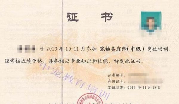 开宠物美容店（开宠物美容店需要什么证）