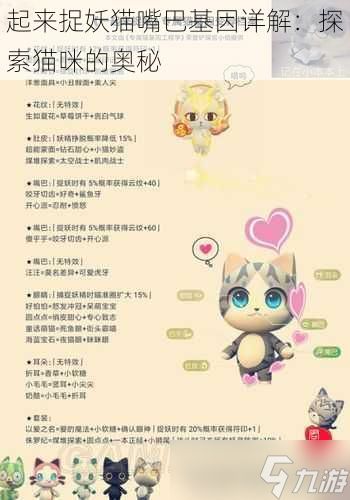 起来捉妖猫嘴巴基因详解：探索猫咪的奥秘