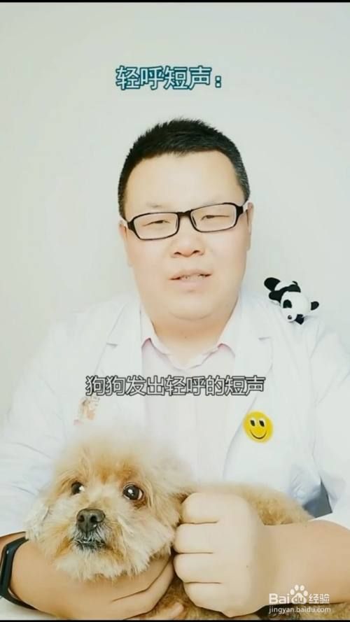 如何解读狗狗不同的叫声？