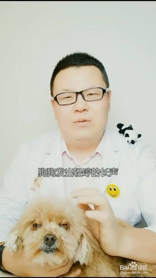 如何解读狗狗不同的叫声？