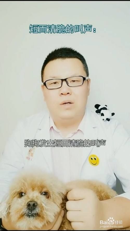 如何解读狗狗不同的叫声？