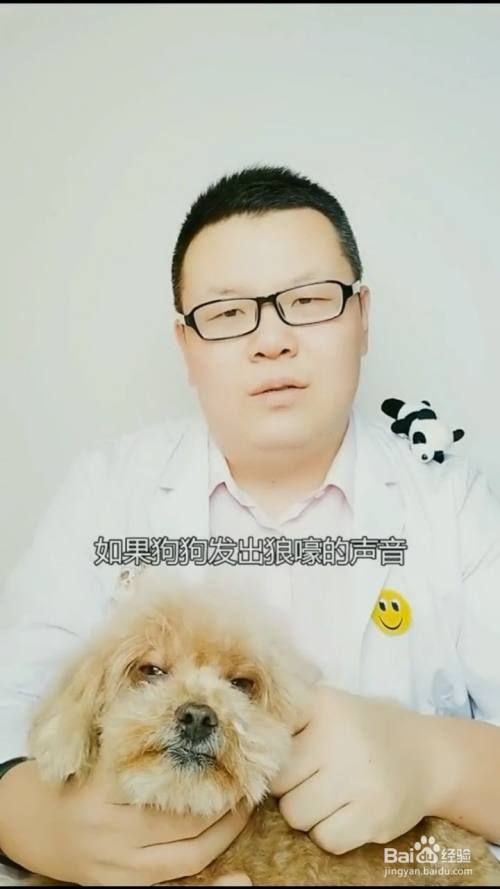 如何解读狗狗不同的叫声？