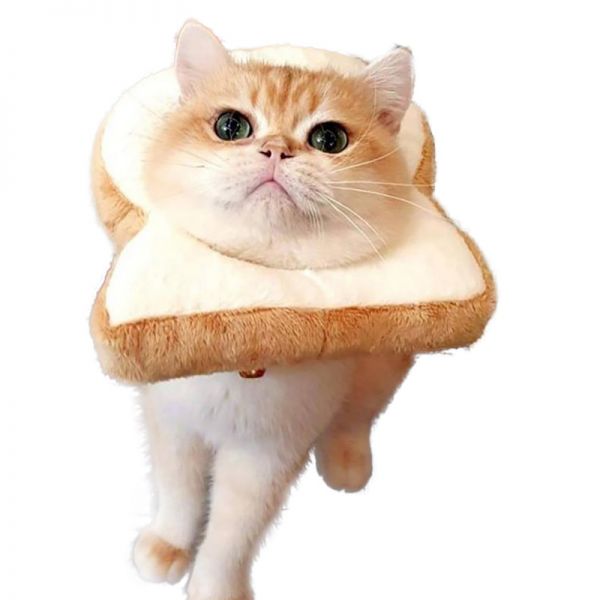 O1CN01n9SKQY1ijEEDWshXQ_!!2844