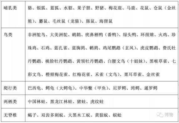 亡羊补牢，全民防疫先从修正野保法开始