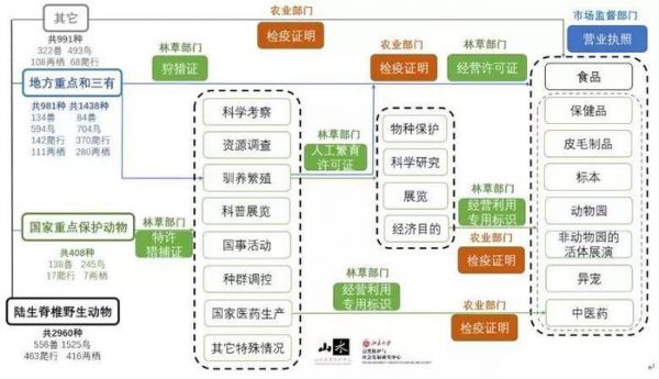 亡羊补牢，全民防疫先从修正野保法开始