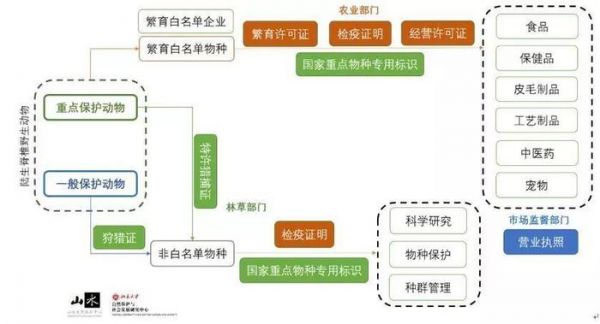 亡羊补牢，全民防疫先从修正野保法开始