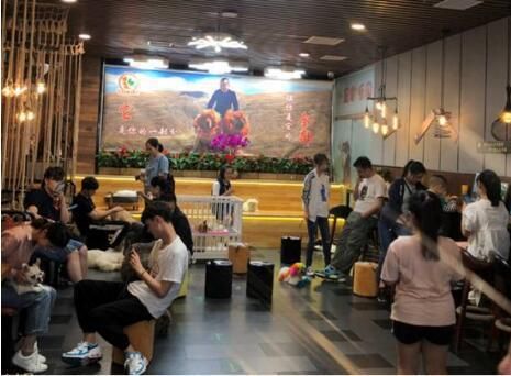 TIM截图20200526143734.jpg