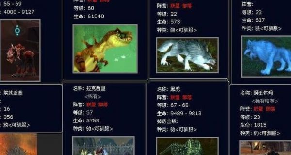魔兽世界猎人宠物大全（魔兽世界猎人宠物大全与获得方式WLK）