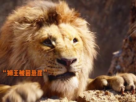 “成长过程中坎坷曲折,只要你勇敢去面对,下一个狮王便是你” #电影剪辑 #励志