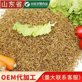 面包虫干工厂批发仓鼠刺猬宠物营养粮食乌龟八哥鸟饲料黄粉虫 1kg