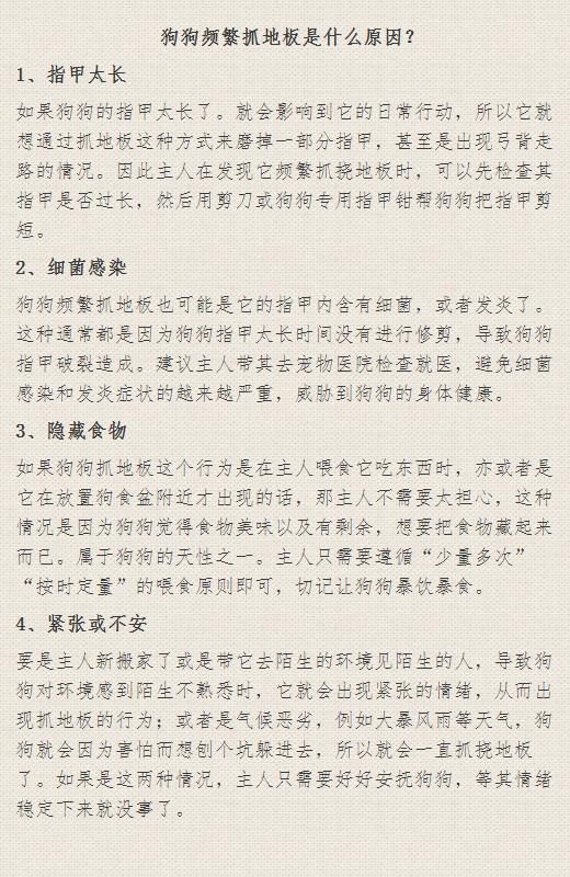 狗狗频繁抓地板是怎么回事？。#新手养狗 #新手养宠 #狗狗行为答疑 #狗狗刨地 #养狗知识分享 #热点小助手 #热点知多少 #狗狗 #宠萌 #抖音图文来了