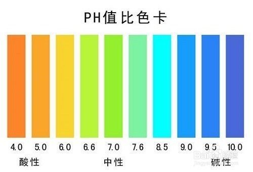 狗可以用人用香波么？为什么要用专用香波？