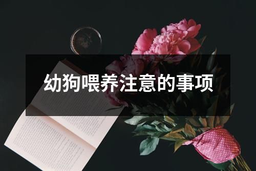幼狗喂养注意的事项