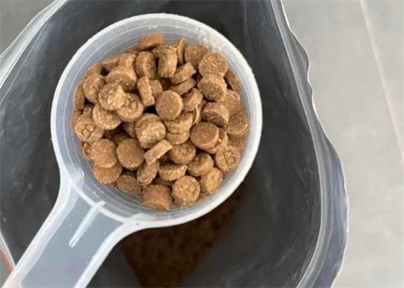 妙斯顿狗粮测评，铲屎官的好选择！
