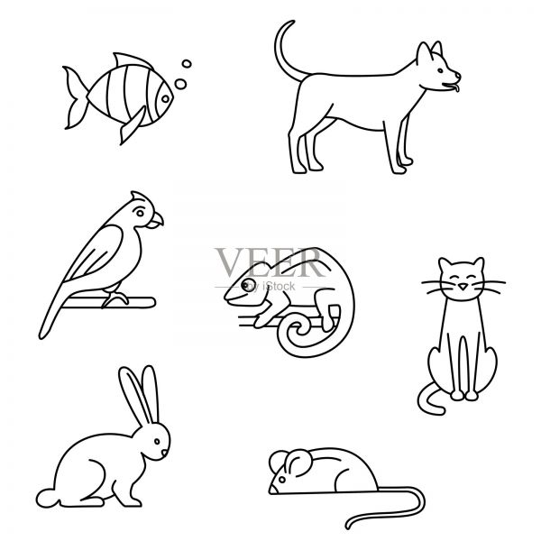 宠物店的狗，猫，鸟，兔子，鹦鹉，鱼，老鼠，变色龙设计元素图片
