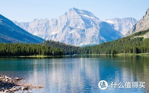 兔子的生物学特性与生态适应性研究