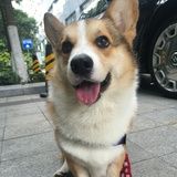 哎呀喂小佳！